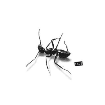Gazelle Indie