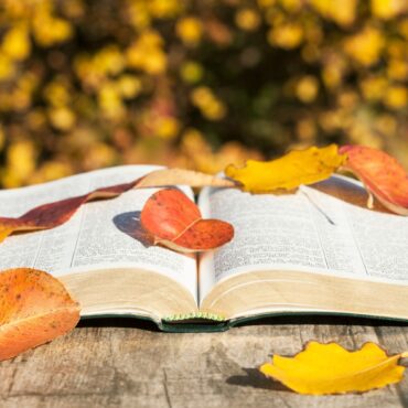 autunno letterario