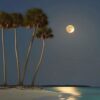 L’Isola di notte