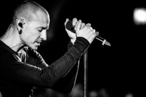 Chester by Jim 2